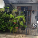 Casa Térrea à venda com 4 quartos, sendo 1 suíte, em Instituto de Previdência, São Paulo, SP
