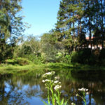 Sítio à venda com 3 quartos, sendo 1 suíte,  em Caputera, Mogi das Cruzes, SP