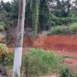 Terreno à venda em Vila Albertina, São Paulo, SP