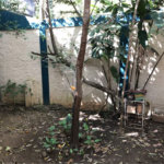 Casa Térrea à venda com 3 quartos, sendo 1 suíte, em Santana, São Paulo, SP