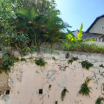 Terreno à venda em Vila Mazzei, São Paulo, SP
