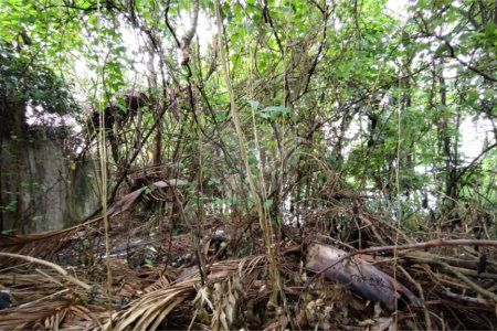 Terreno à venda em Vila Suzana, São Paulo, SP
