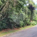 Terreno à venda no condomínio Associação Reserva das Hortênsias, Mairiporã - SP