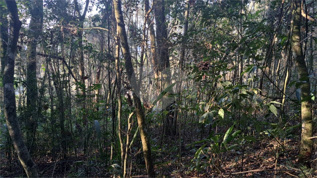 Terreno à venda em Serra da Cantareira, Mairiporã, SP