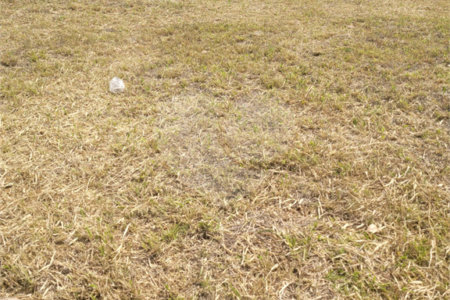 Terreno à venda no condomínio Acmti - Colinas do Mosteiro, Terras de Itaici e Recanto dos Pássaros, Indaiatuba - SP