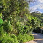 Loteamento à venda em Canjica (terra Preta), Mairiporã, SP