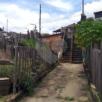 Casa Térrea à venda com 3 quartos em Casa Verde, São Paulo, SP