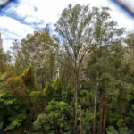 Apartamento à venda com 3 quartos, sendo 1 suíte,  em Vila Andrade, São Paulo, SP