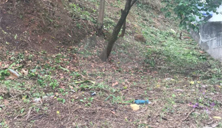 Terreno à venda em Vila Gustavo, São Paulo, SP