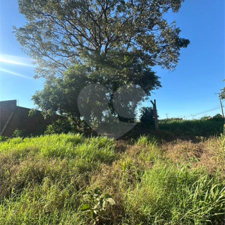 Terreno à venda em Pedro Juan Caballero, Amambay