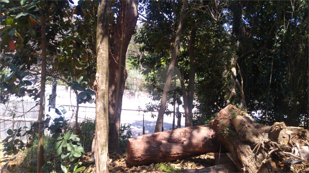 Terreno à venda em Vila Albertina, São Paulo, SP