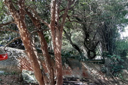 Terreno à venda em Santa Teresinha, São Paulo, SP