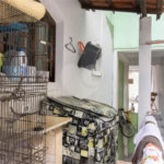 Casa à venda com 2 quartos, sendo 1 suíte, em Jardim Santa Clara, Guarulhos, SP