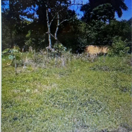 Terreno plano prontinho para construir a casa dos seus sonhos no Jardim Colonial!