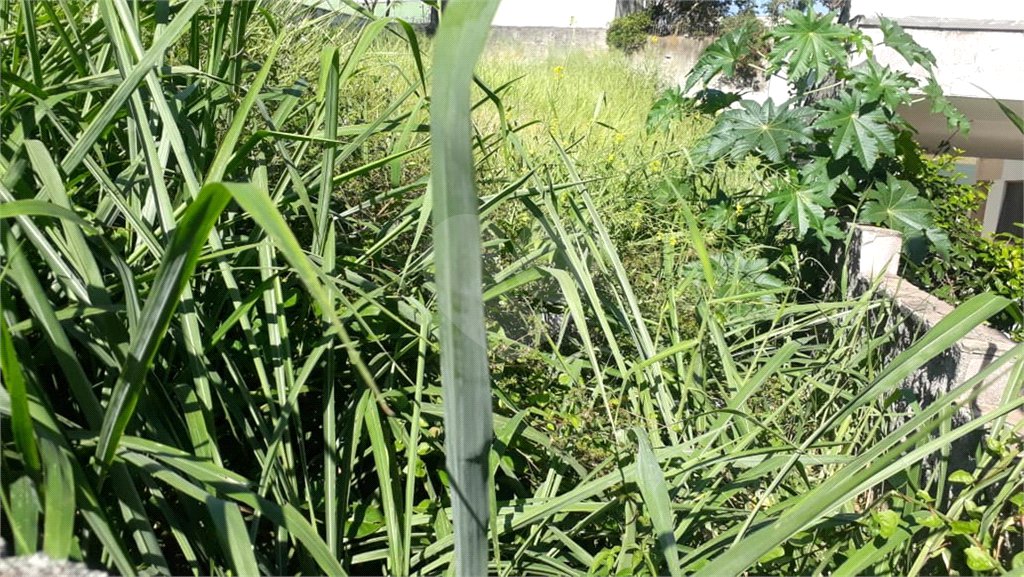 Terreno à venda em Jardim São Bento, São Paulo, SP