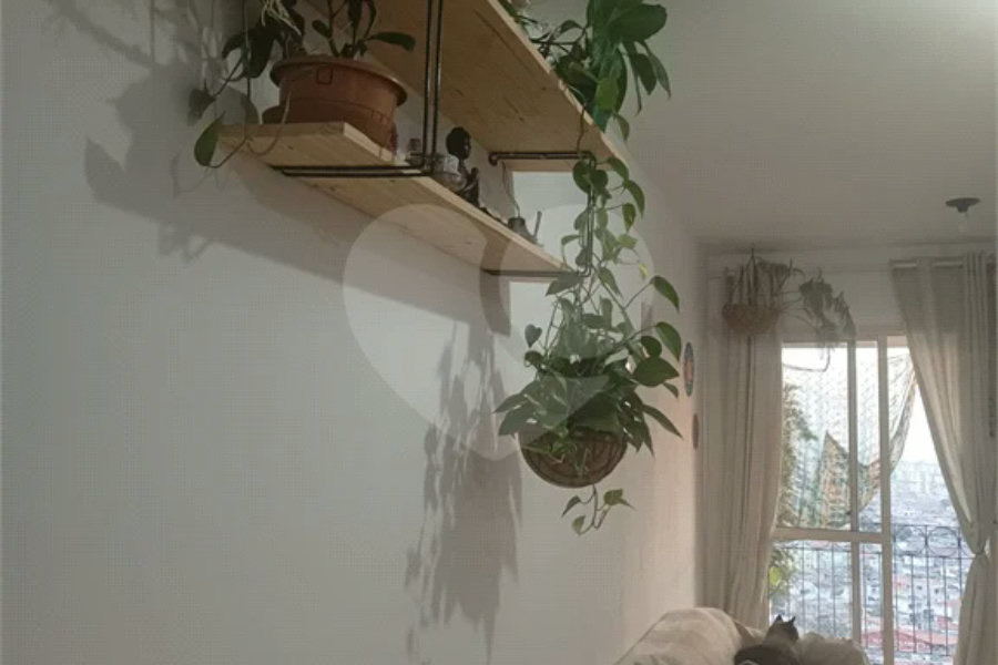 Apartamento à venda com 2 quartos, sendo 1 suíte, em Mandaqui, São Paulo, SP