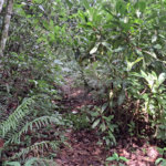 Terreno à venda no condomínio Campos de Mairiporã Gleba 1, Mairiporã - SP