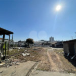 Terreno à venda ou para alugar em Vila Califórnia, São Paulo, SP
