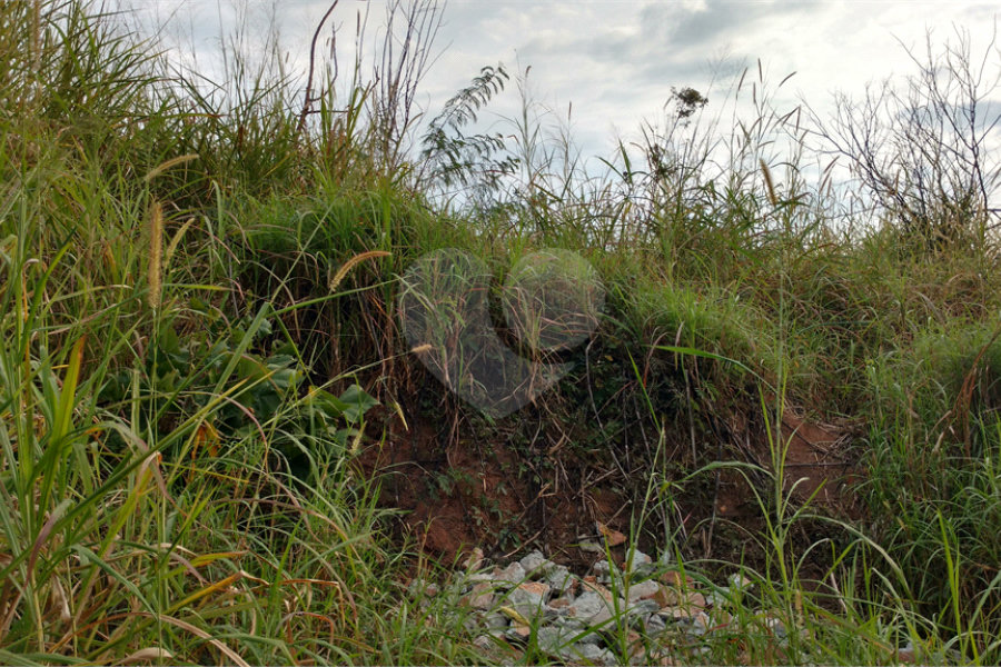 Terreno para alugar em Tucuruvi, São Paulo, SP