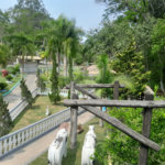 Chácara à venda ou para alugar com 20 quartos, sendo 10 suítes,  em Serra da Cantareira, Mairiporã, SP