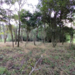 Terreno à venda em Chácaras do Guacuri, Itupeva, SP