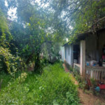 Casa Térrea à venda com 3 quartos, sendo 1 suíte, em Jardim Floresta, São Paulo, SP