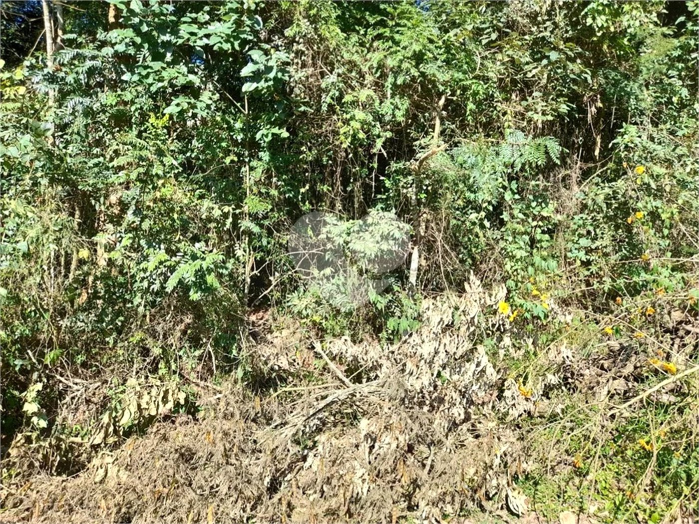 Terreno à venda em Roseira, Mairiporã, SP