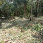 Terreno à venda no condomínio Jardim da Montanha I, Mairiporã - SP