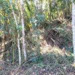 Condomínio à venda em Caraguatá, Mairiporã, SP
