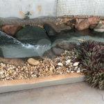 Casa à venda com 2 suítes em Cidade Jardim, Araraquara, SP