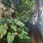 Casa à venda com 4 quartos, sendo 3 suítes,  em Jardim Marajoara, São Paulo, SP