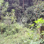 Terreno à venda no condomínio Parque Suiça, Caieiras - SP