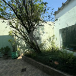 Casa à venda com 4 quartos, sendo 2 suítes, em Jardim São Bento, São Paulo, SP