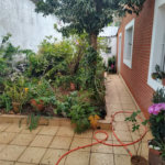 Casa Térrea à venda com 3 quartos, sendo 1 suíte, em Super Quadra Morumbi, São Paulo, SP