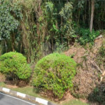 Terreno à venda em Roseira, Mairiporã, SP