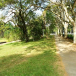 Apartamento para alugar com 4 quartos em Jardim Colombo, São Paulo, SP