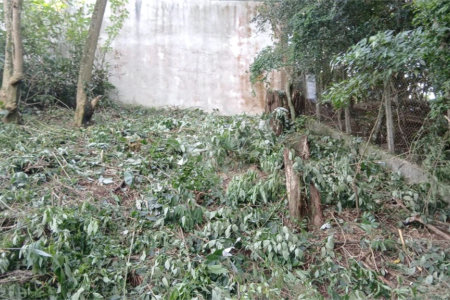 Terreno à venda em Tucuruvi, São Paulo, SP
