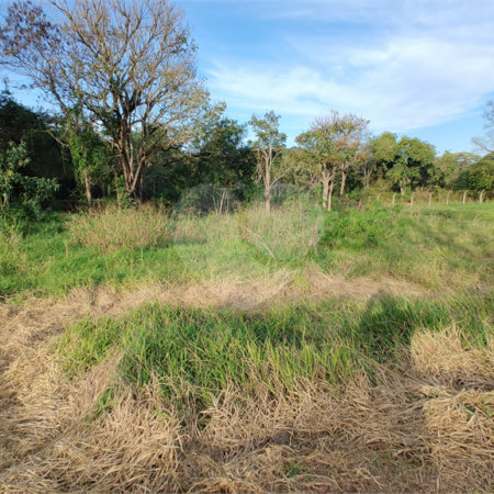 Terreno à venda em Chácara Santo Antônio, Araçoiaba da Serra, SP