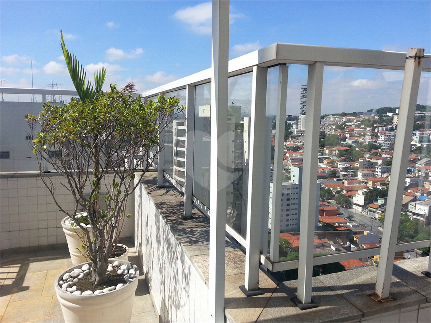 Cobertura à venda com 3 quartos, sendo 1 suíte, em Vila Ipojuca, São Paulo, SP