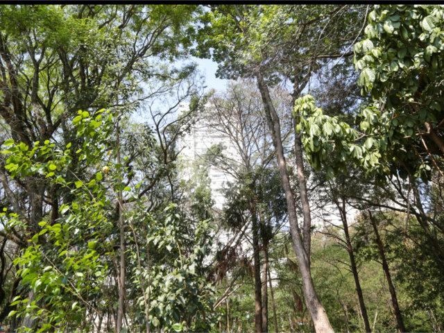 Apartamento à venda com 4 quartos, sendo 2 suítes,  em Morumbi, São Paulo, SP