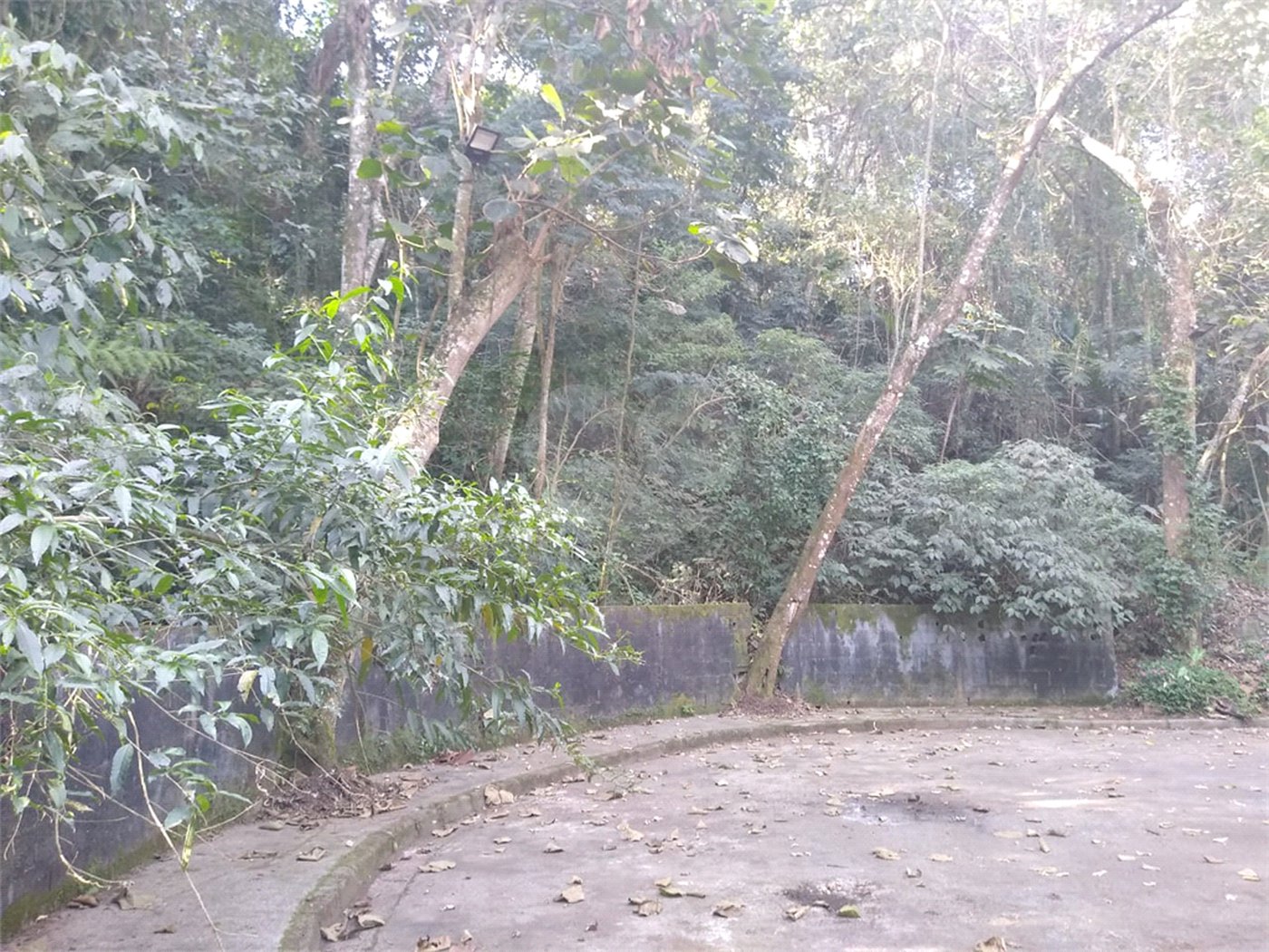Terreno à venda em Tucuruvi, São Paulo, SP