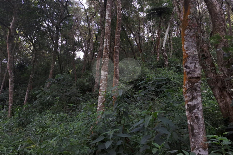 Terreno à venda em Serra da Cantareira, Mairiporã, SP