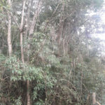 Terreno à venda em Suasalito, Mairiporã, SP