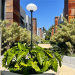 Casa à venda com 3 suítes no condomínio Reserva 8, São Paulo - SP