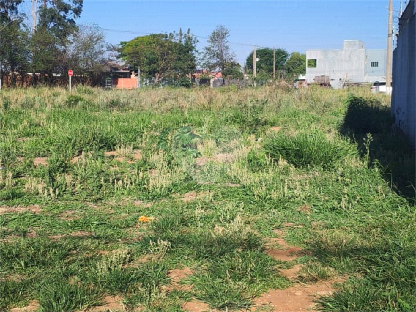 Terreno à venda em Jardim Ibirapuera, Ponta Porã, MS