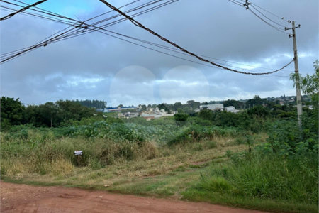 Terreno à venda em Bosque de Ponta Porã, Ponta Porã, MS