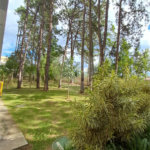 Apartamento à venda com 2 quartos em Jardim Arpoador, São Paulo, SP