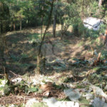 Terreno à venda em Vila Albertina, São Paulo, SP