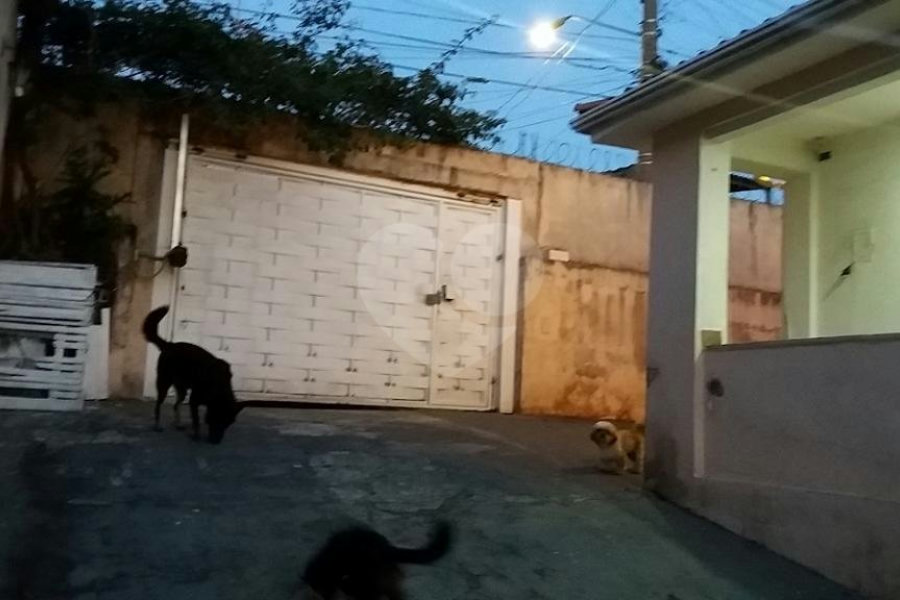 Casa Térrea à venda com 3 quartos no Brasilândia, São Paulo, SP