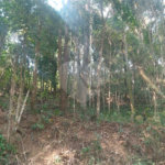 Terreno à venda em Serra da Cantareira, Mairiporã, SP
